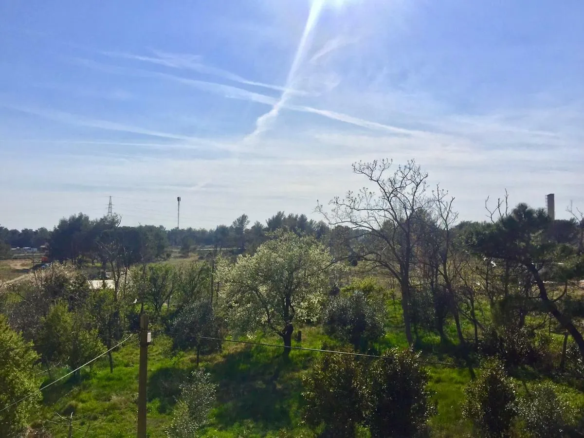 Apartmani Bosiljka Nin 0*,